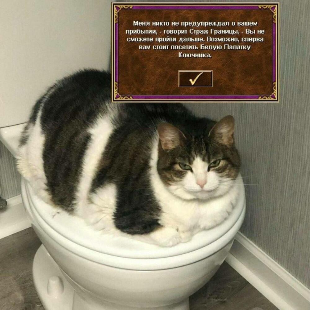 Q6EbbiUqCEU.jpg.jpeg