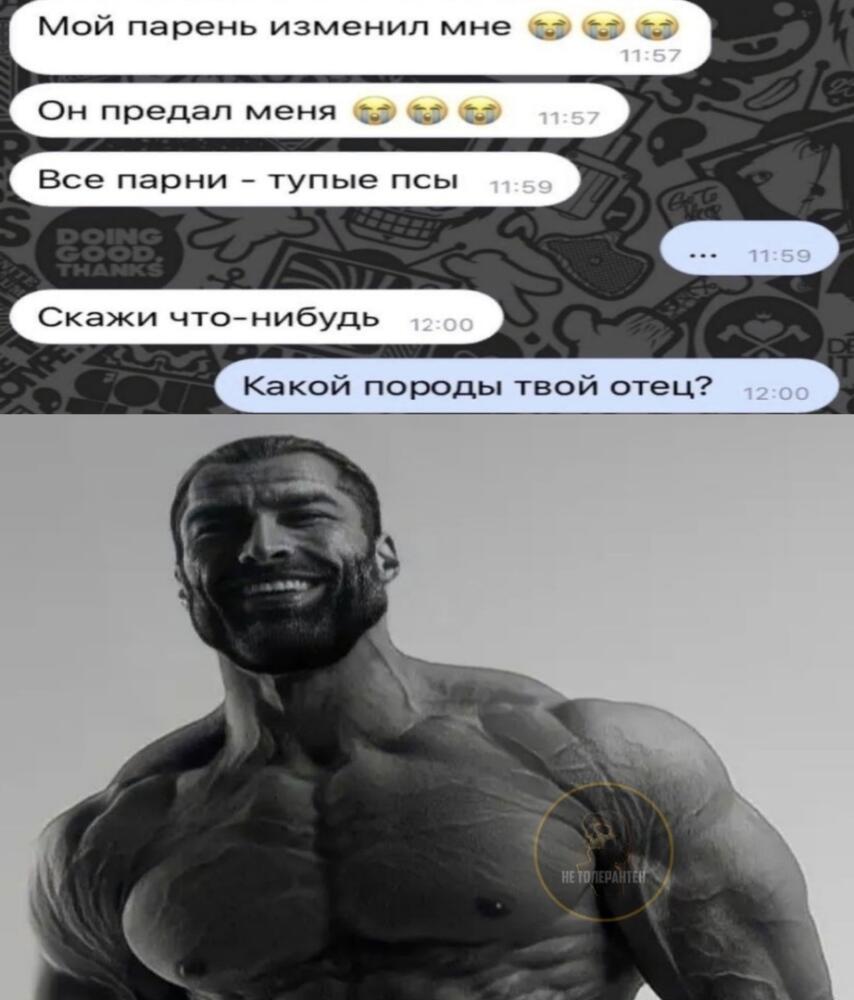 Sj-nM6cfHvc.jpg.jpeg