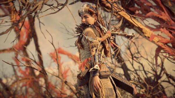 Элой