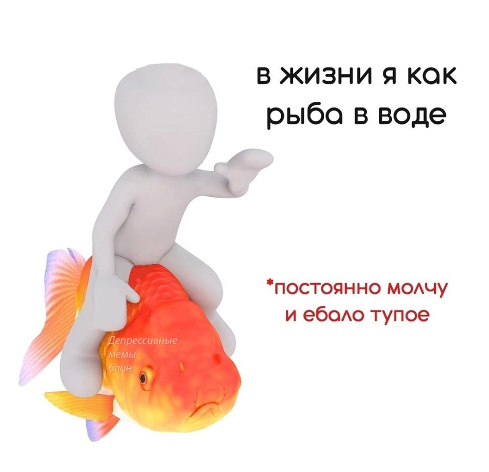 TZqx4sgoT6Y.jpg.jpeg
