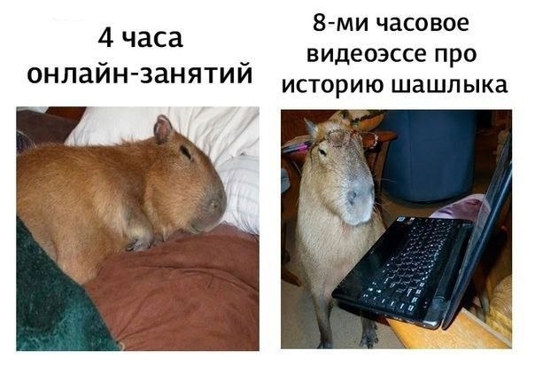 vCWUuk-EQ-w.jpg.jpeg