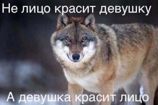Vv9ASAsQuuc.jpg.jpeg
