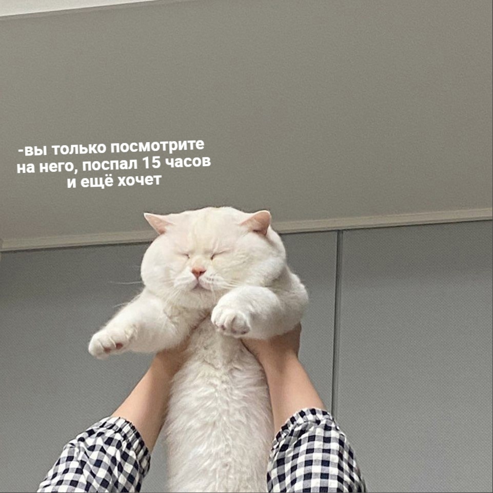 VYYvk4vvuf8.jpg.jpeg