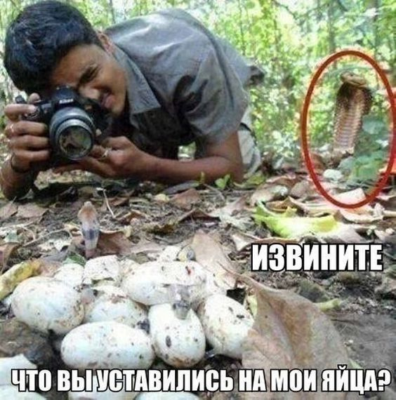 xT1Zjb7bHQg.jpg.jpeg