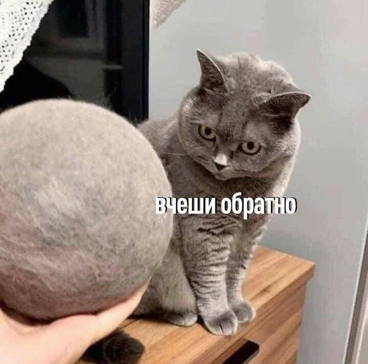 YgWD3cSgTCE.jpg.jpeg
