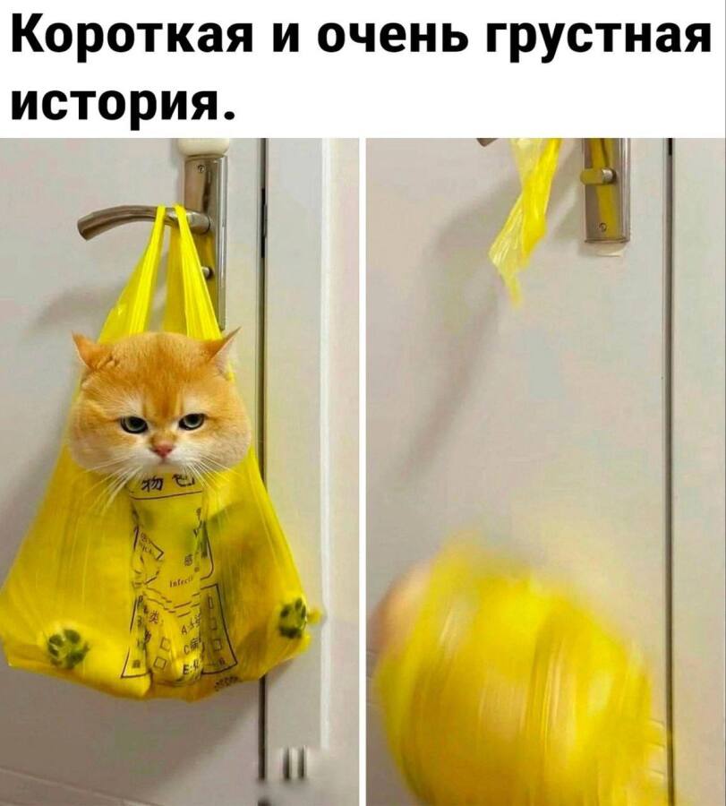%D0%BA%D0%B0%D1%80%D1%82%D0%B8%D0%BD%D0%BA%D0%B8-%D1%81-%D0%BD%D0%B0%D0%B4%D0%BF%D0%B8%D1%81%D1%8F%D0%BC%D0%B8-%D0%BA%D0%BE%D1%8.jpeg