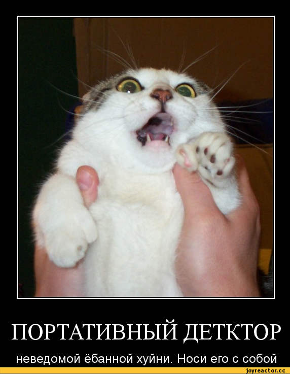 %D0%BA%D0%BE%D1%82%D1%8D-%D0%BD%D0%B5%D0%B2%D0%B5%D0%B4%D0%BE%D0%BC%D0%B0%D1%8F-%D1%91%D0%B1%D0%B0%D0%BD%D0%BD%D0%B0%D1%8F-%D1%8.png
