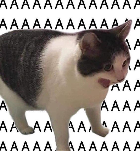 0bb6703462dee395157f7b6c9f995694.jpg.jpeg
