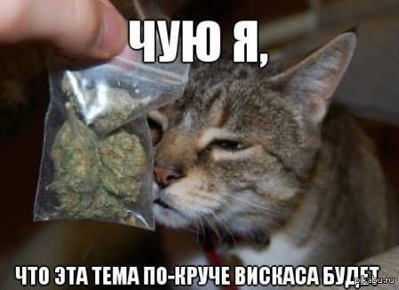 1374951328_1300845940.jpg.jpeg
