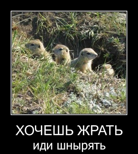 1581057400_36.jpg.jpeg