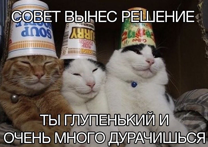 168251862111924365.jpg.jpeg