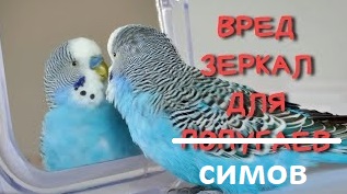 24-09-2023-205737.jpg.jpeg