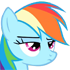 5906.gif.webp.png