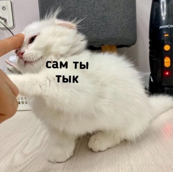 5HRS_6NOPuw.jpg.jpeg