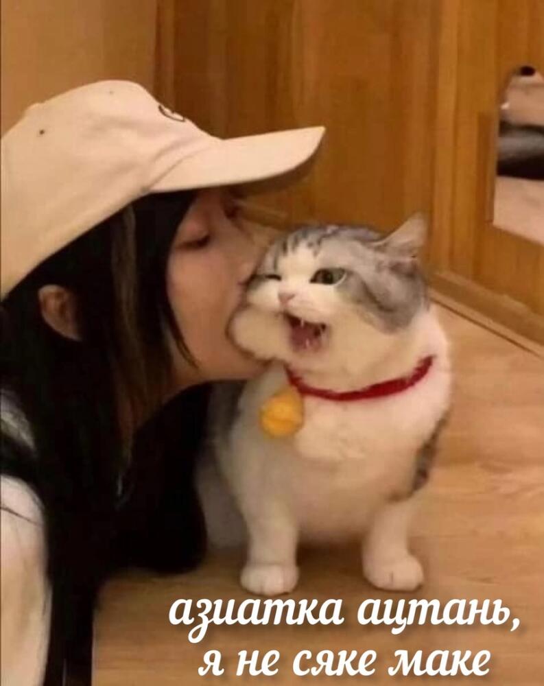 8pXh1OPHCsY.jpg.jpeg