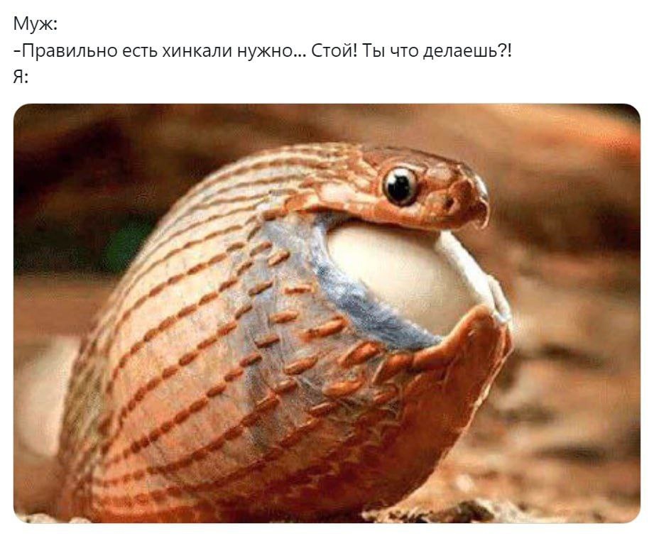 9W0xk3vl7HY.jpg.jpeg