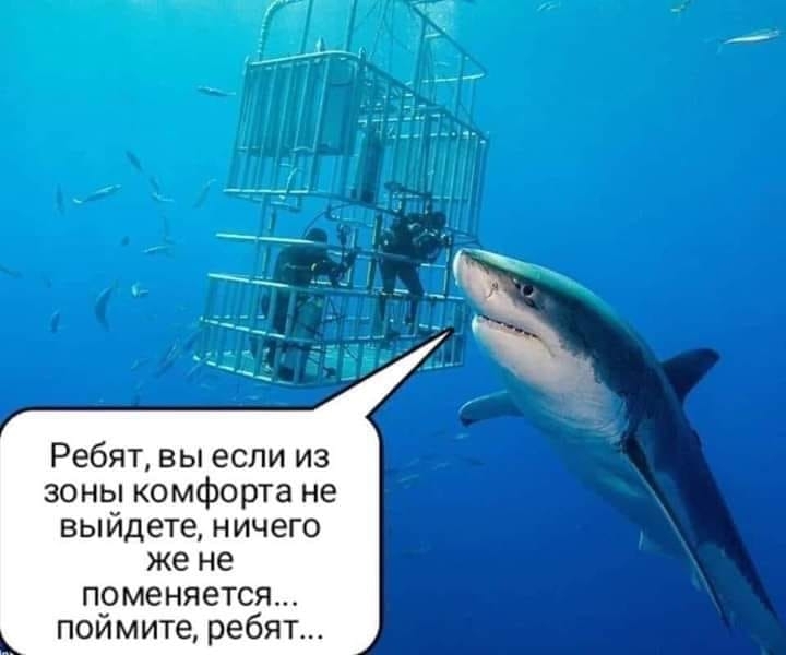 Anime-%D1%84%D1%8D%D0%BD%D0%B4%D0%BE%D0%BC%D1%8B-5014468.jpeg