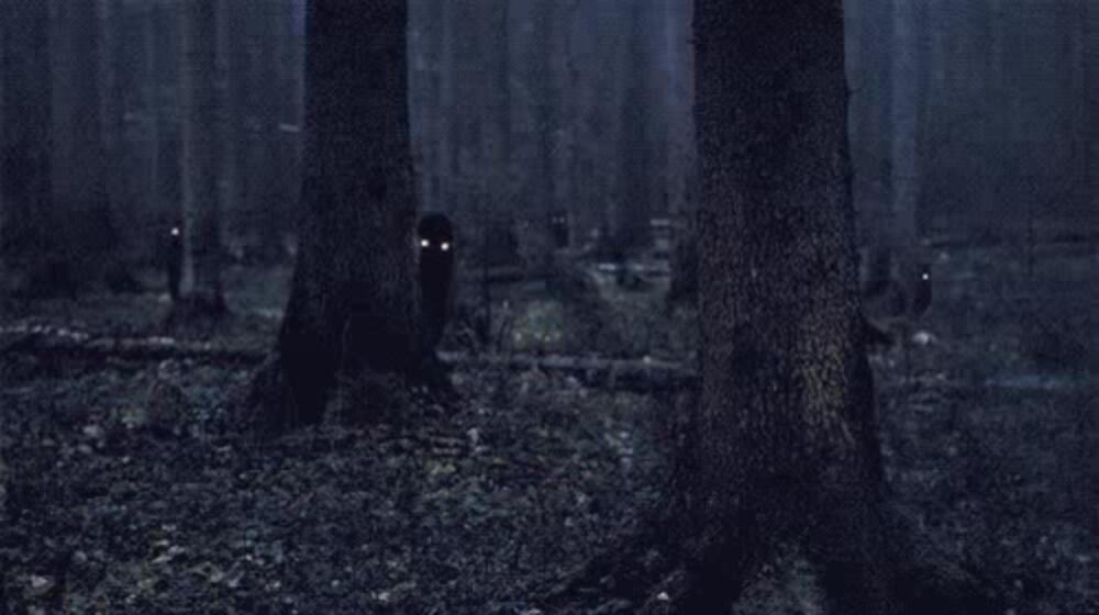 big-1449146170-image.jpg.jpeg
