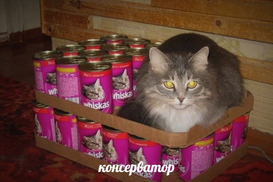 BKvTEV5Mhck.jpg.jpeg