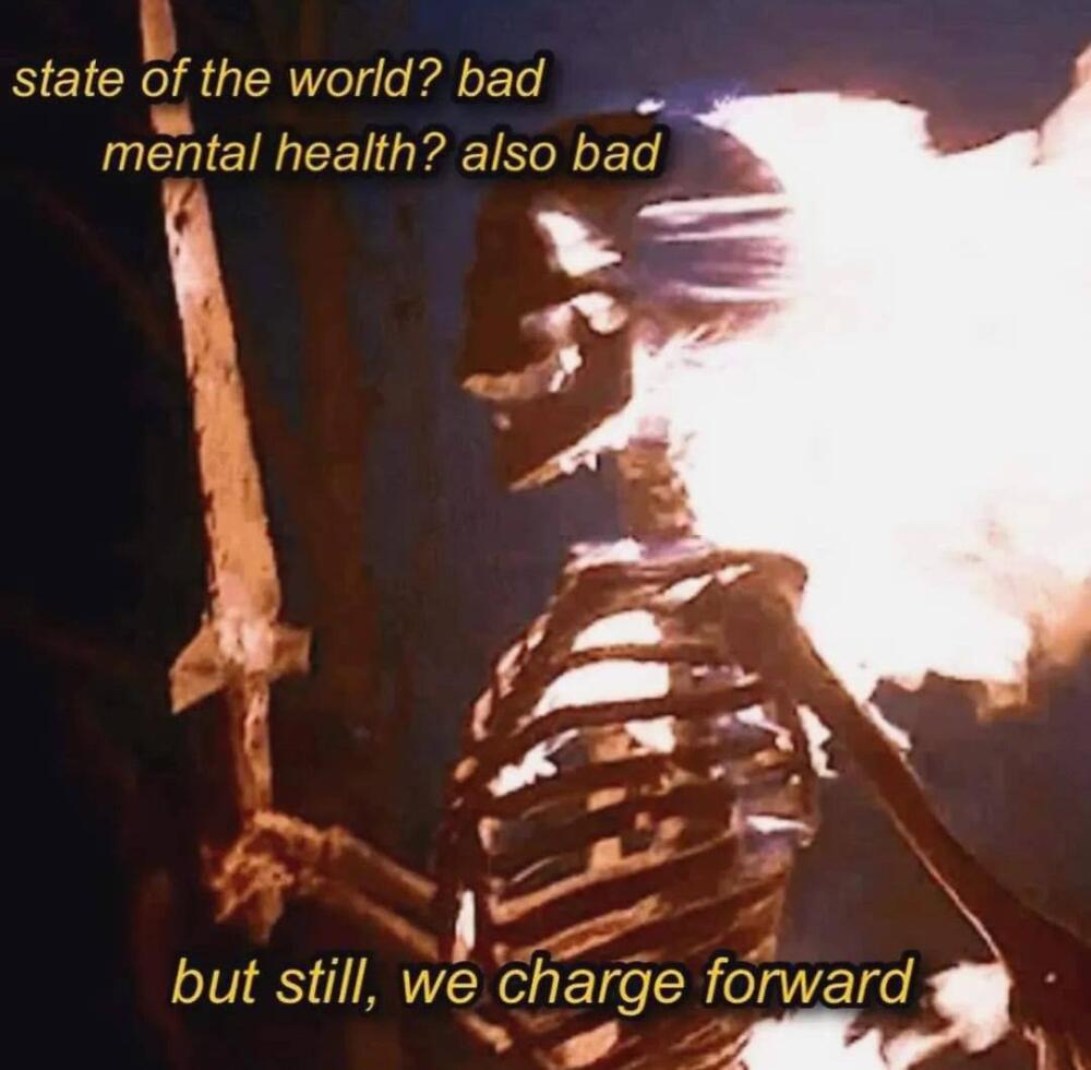 DqZ4Wm7TlyM.jpg.jpeg