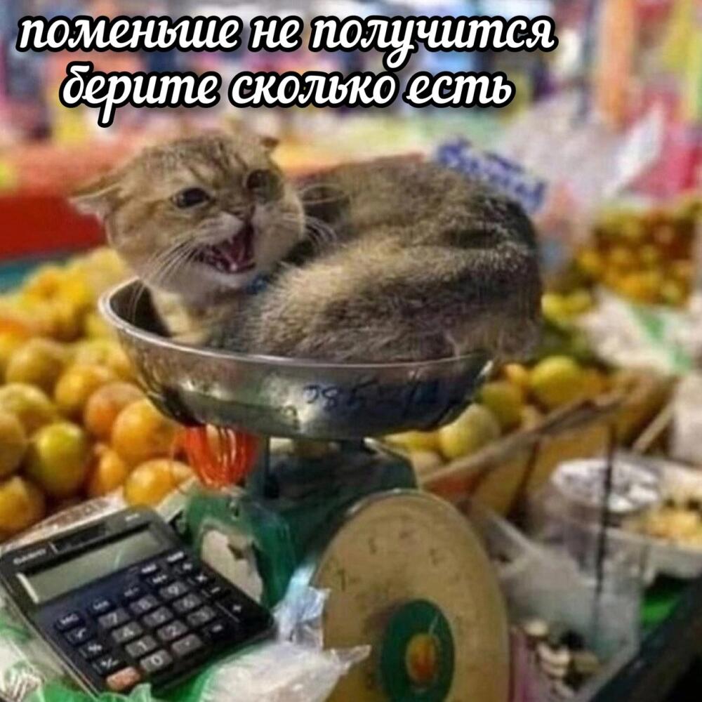garz5ccLDKU.jpg.jpeg