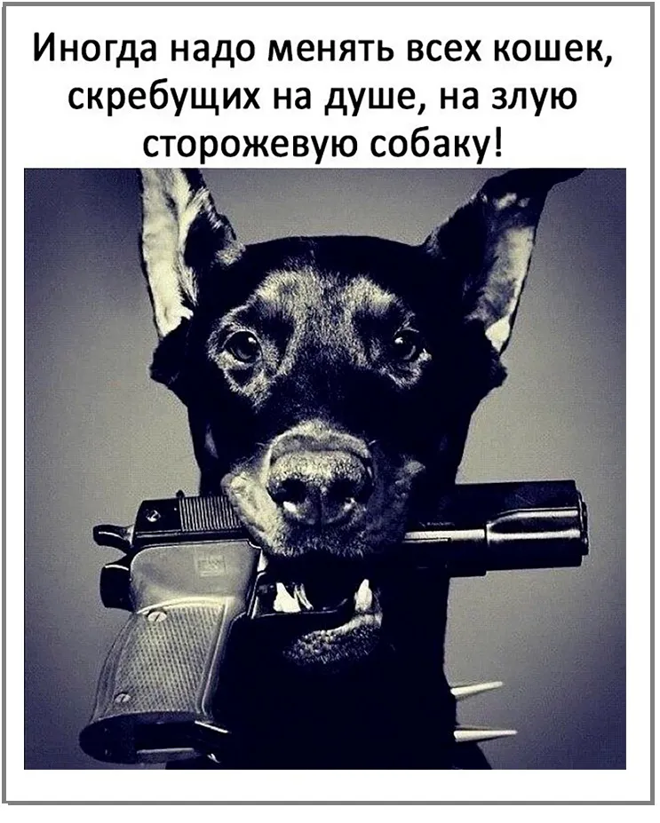 humor__09_06_17_6.jpg.webp