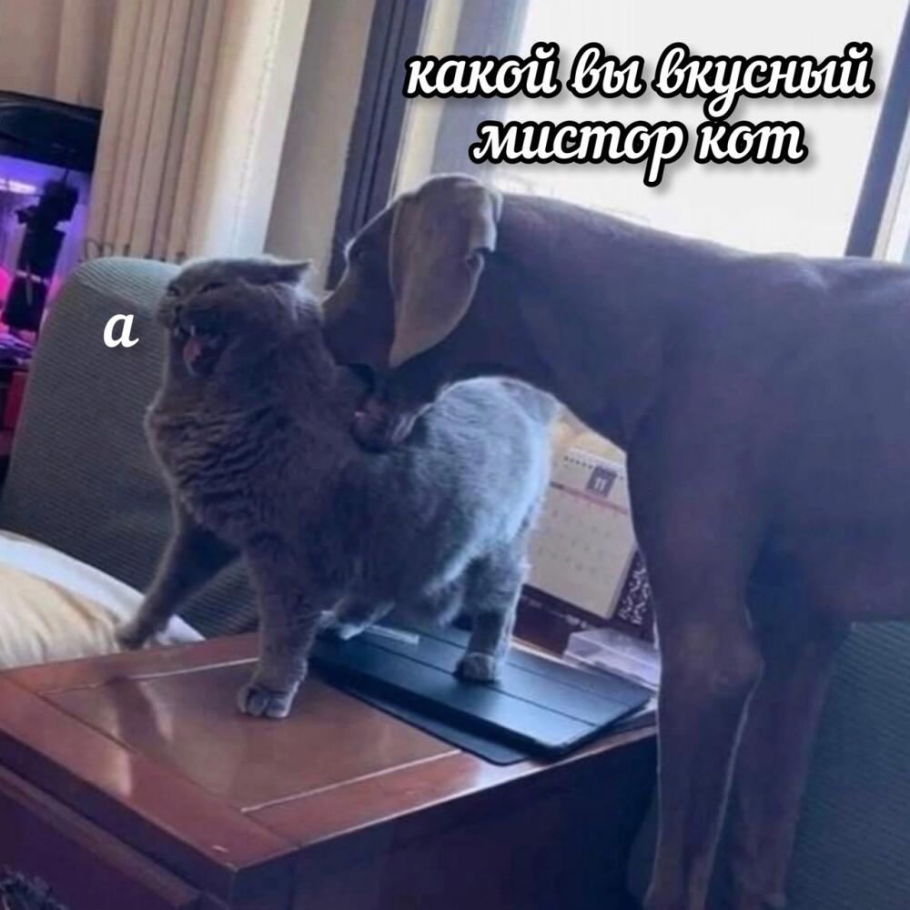 kOC6rSfBmQo.jpg.jpeg