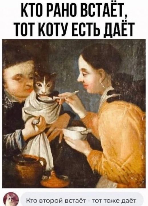 %D0%BA%D0%BE%D1%82%D1%8D-%D0%B5%D0%B4%D0%B0-8091233.jpg.jpeg