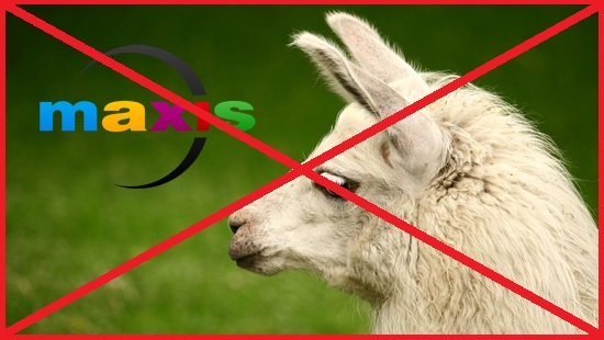 Lama-i-Maxis.jpg.jpeg