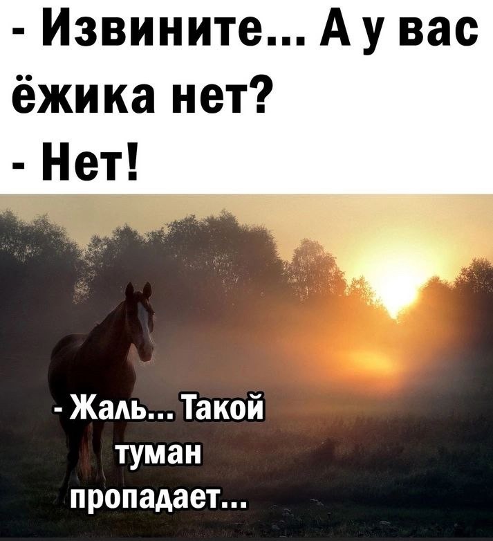 Nf3y77qP2GA.jpg.jpeg