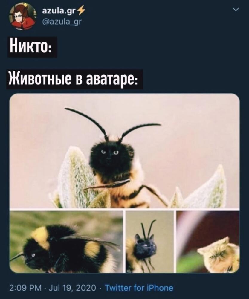 OBjuNyFkuVc.jpg.jpeg