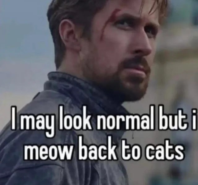 PaWJNEyXtgw.jpg.jpeg