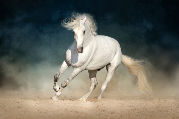 shutterstock_569803465-630x420.jpg