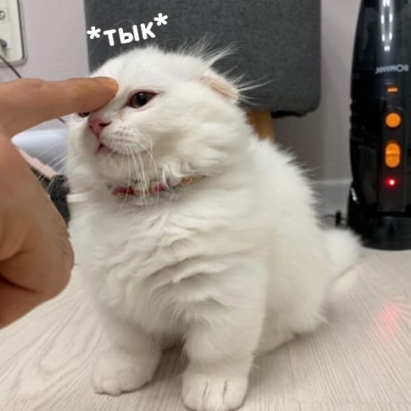 rc6usCPGY5A.jpg.jpeg