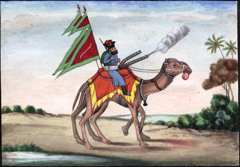 Reminiscences_of_Imperial_Delhi_Camel_Artillery_Man.PNG.png