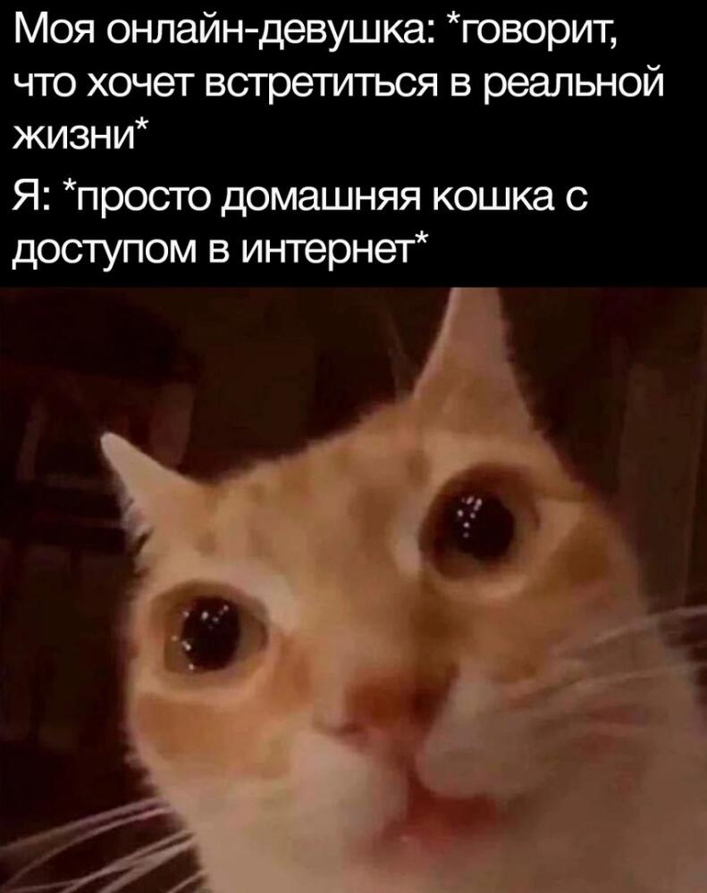 s-LjC7K40bU.jpg.jpeg