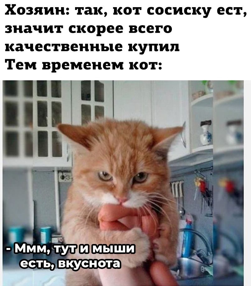 UID1775034_1644739054_29.jpg.jpeg