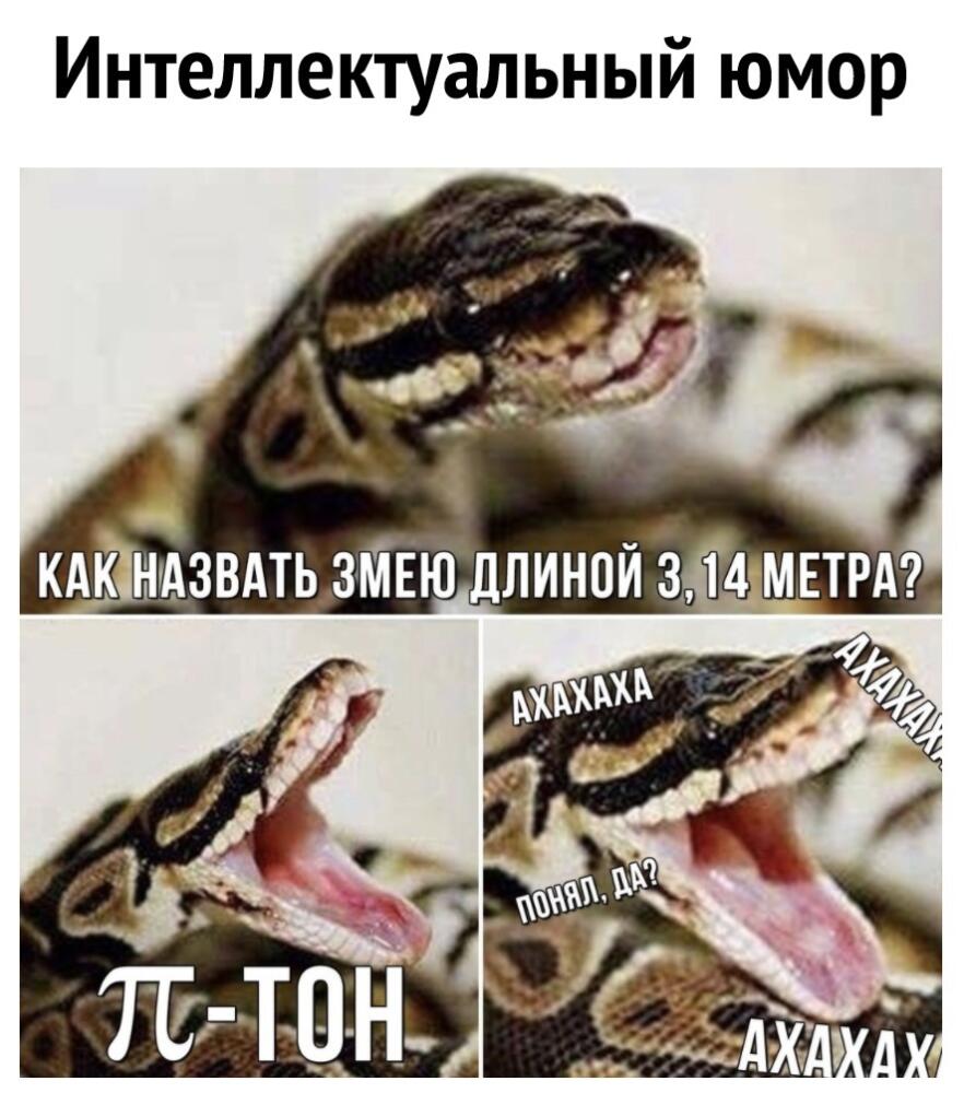 XdXt9opuk2U.jpg.jpeg