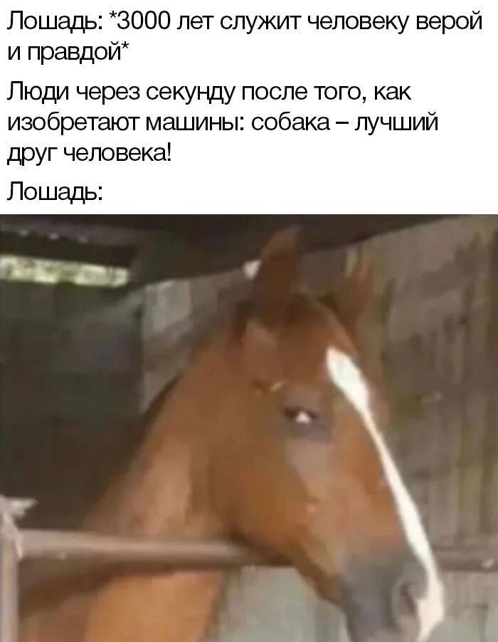 %D0%9F%D1%80%D0%B8%D0%BA%D0%BE%D0%BB%D1%8B-%D0%B4%D0%BB%D1%8F-%D0%B4%D0%B0%D1%83%D0%BD%D0%BE%D0%B2-%D1%80%D0%B0%D0%B7%D0%BD%D0%B.jpeg