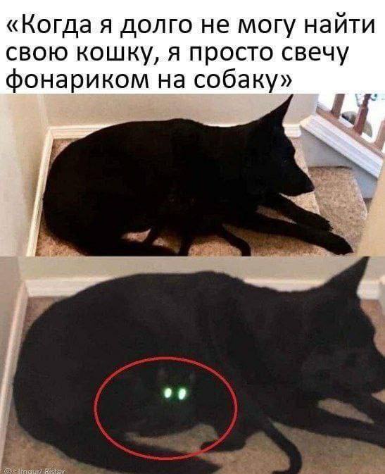 %D0%BA%D0%B0%D1%80%D1%82%D0%B8%D0%BD%D0%BA%D0%B0-%D1%81-%D1%82%D0%B5%D0%BA%D1%81%D1%82%D0%BE%D0%BC-%D0%B6%D0%B8%D0%B2%D0%BD%D0%B.jpeg
