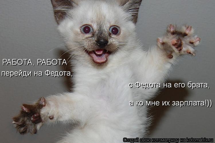 1160704.jpg.jpeg