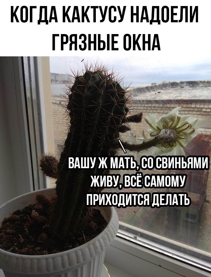 1561145287_kartinki-9.jpg.jpeg