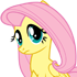 1894.gif.webp.png