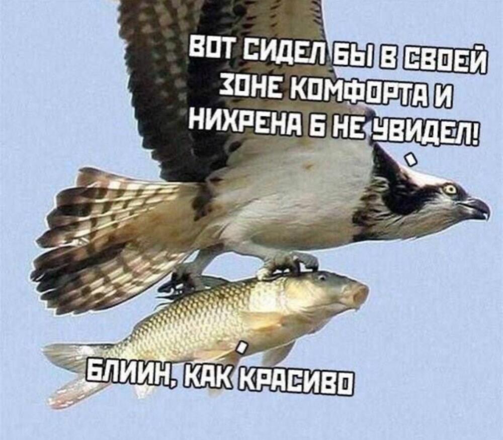 1F2VsJ7mzZk.jpg.jpeg