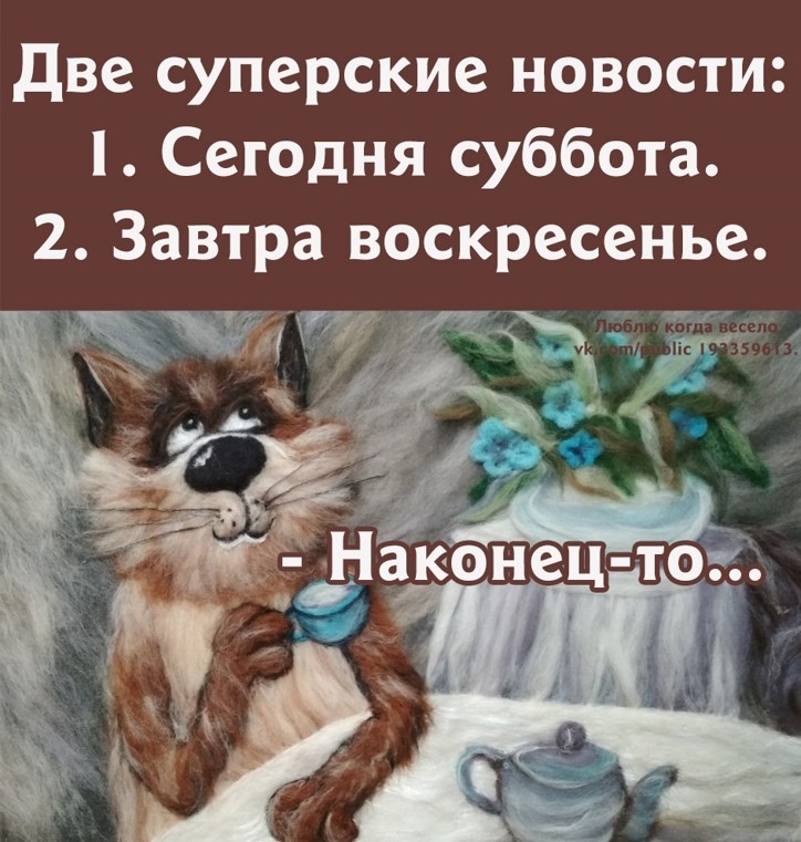 4035afe529e38f2f959ba23b5e5277a3.jpg.jpeg