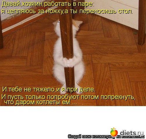754770_29567nothumb500.jpg.jpeg