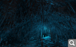 81aa6b9e39d7f216baf17a42d1770b98.png.webp.png