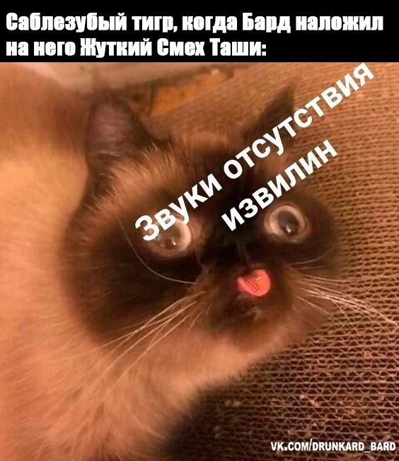 _8mKzj0G_dM.jpg.jpeg