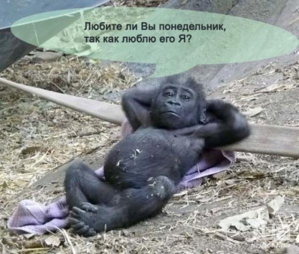 935653_1311314.jpg.jpeg