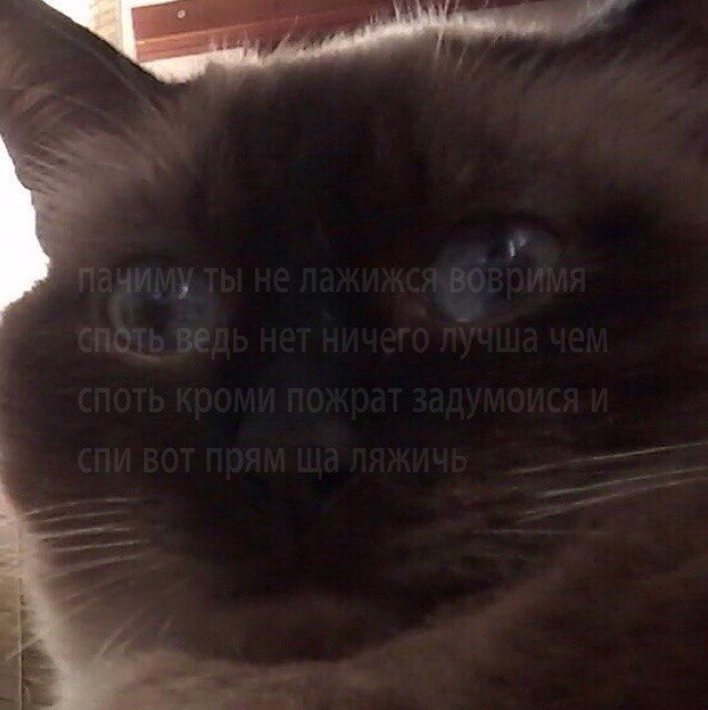 bmdM52SsK_g.jpg.jpeg